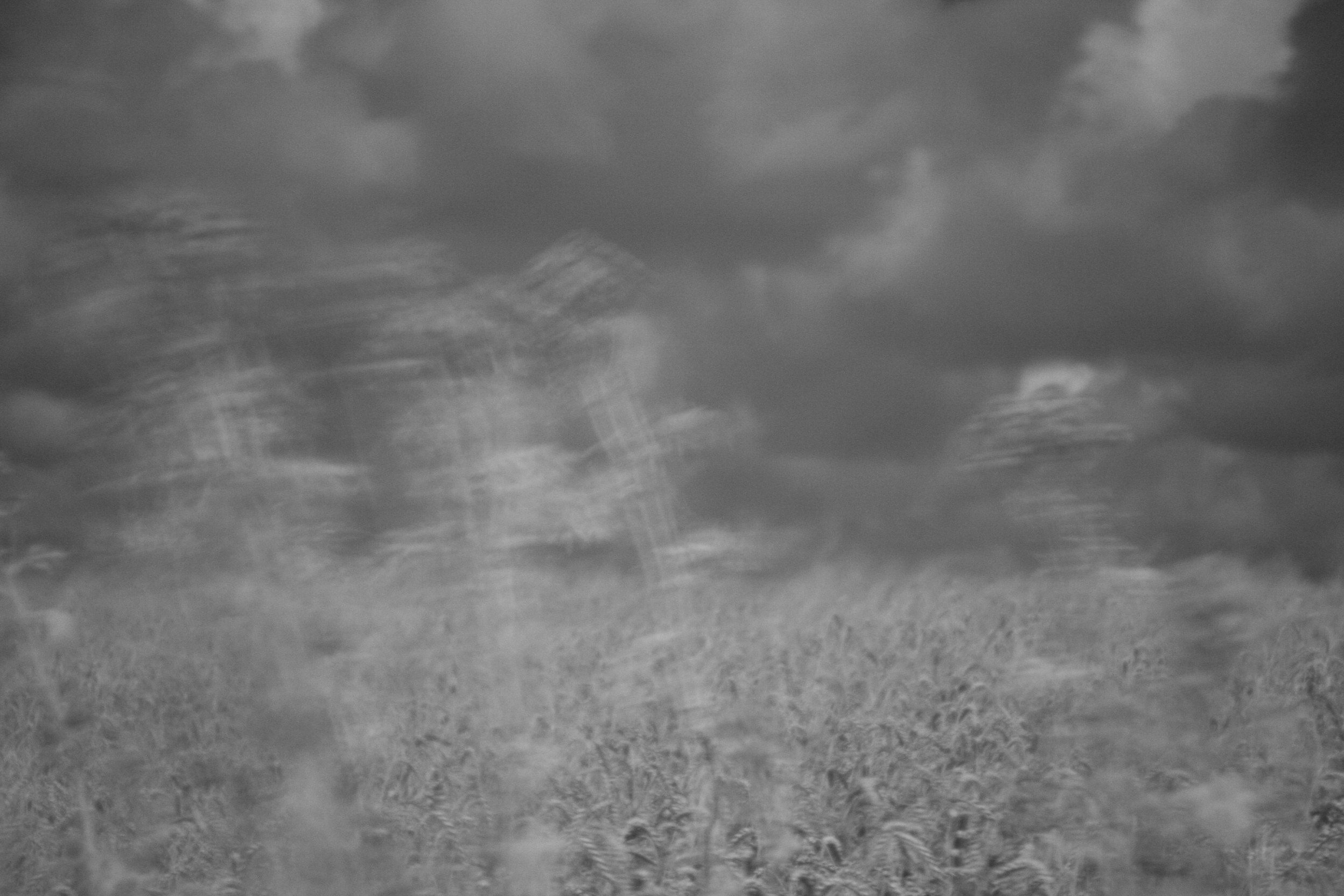 un été de canicule