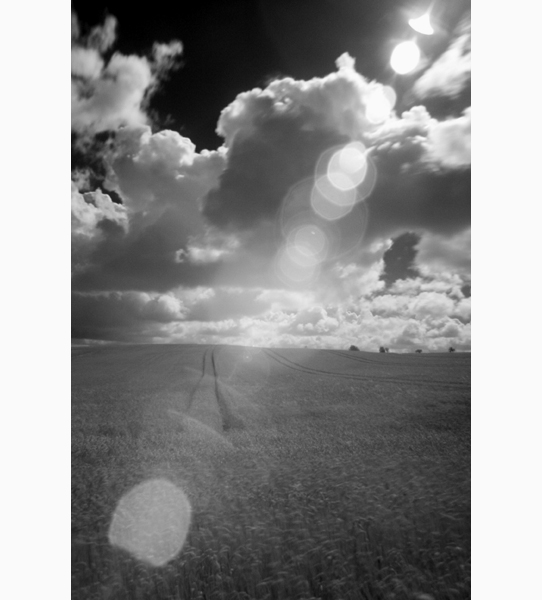 un été de canicule