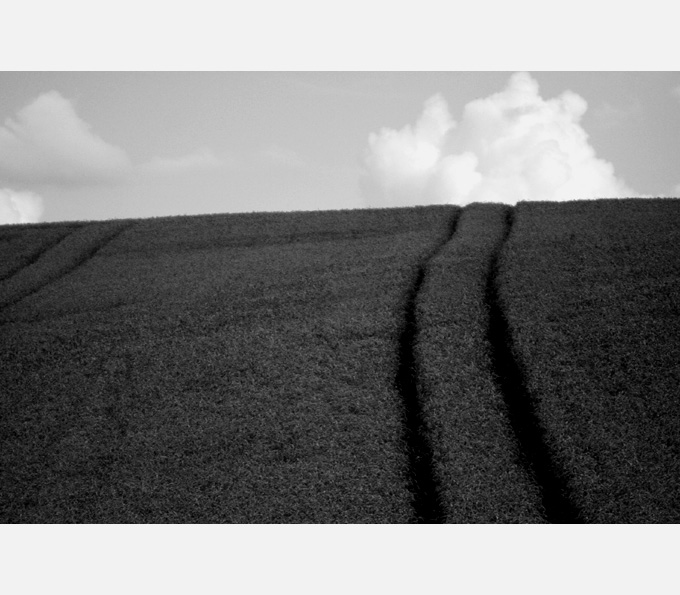 un été de canicule