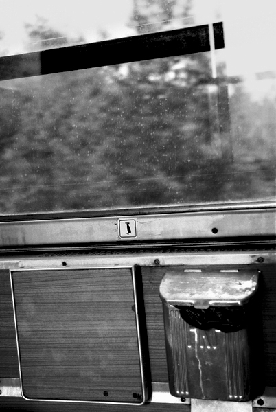 Long Journey Back Home