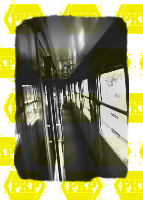 Long Journey Back Home